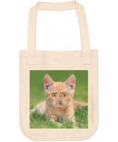 Nicolas Cage Ginger Cat Tote bag for Women And Men Graphic Shoulder Bags Casual Cloth Purses and Aesthetic Handbags $22.98 Totes