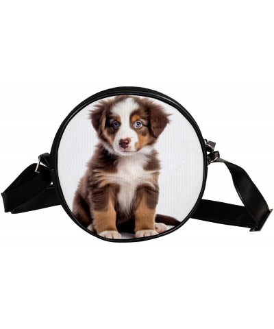 Crossbody Bags for Women,Crossbody Bag Men,Small Sling Bag,Australian Shepherd Dog,Crossbody Purse $11.09 Crossbody Bags