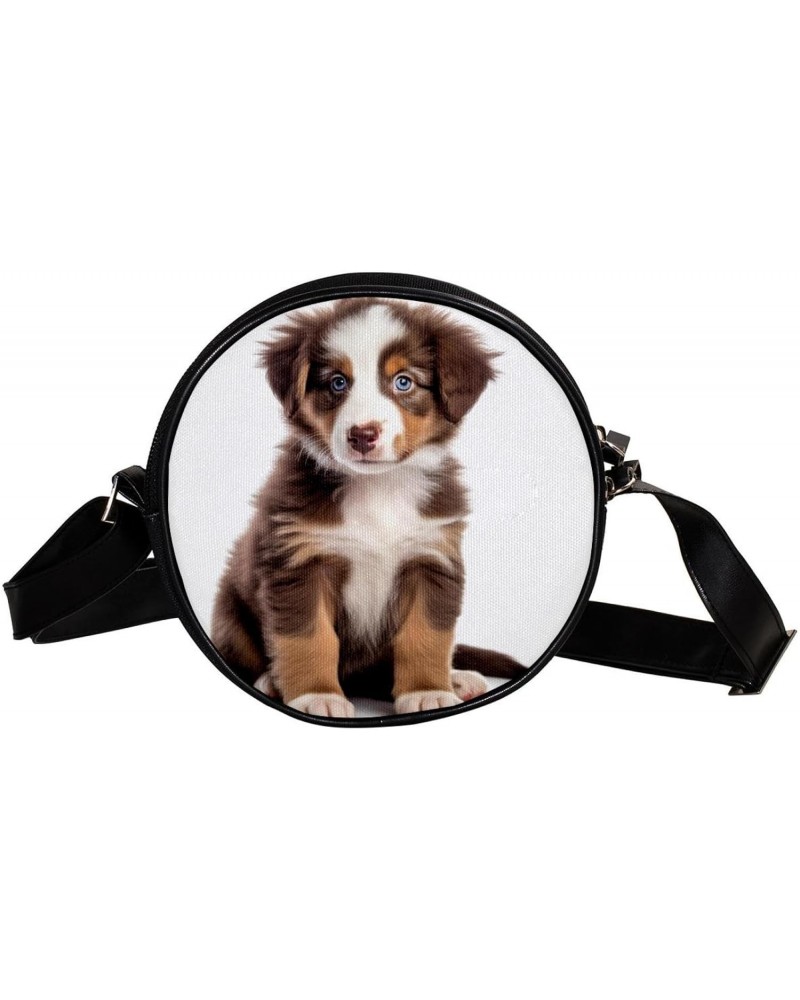 Crossbody Bags for Women,Crossbody Bag Men,Small Sling Bag,Australian Shepherd Dog,Crossbody Purse $11.09 Crossbody Bags