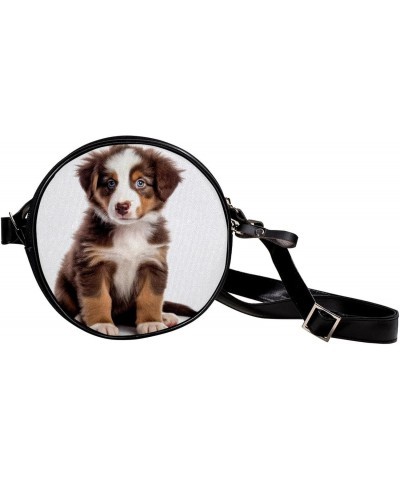 Crossbody Bags for Women,Crossbody Bag Men,Small Sling Bag,Australian Shepherd Dog,Crossbody Purse $11.09 Crossbody Bags