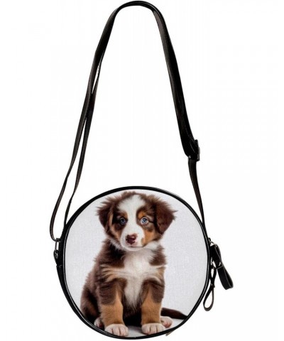 Crossbody Bags for Women,Crossbody Bag Men,Small Sling Bag,Australian Shepherd Dog,Crossbody Purse $11.09 Crossbody Bags