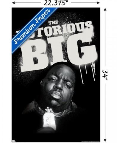 The Notorious B.I.G. - Chain Wall Poster, 22.375" x 34", Premium Unframed Version $12.22 Totes