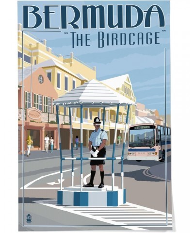 24x36 Inch Giclee Print, Bermuda, The Birdcage $25.49 Totes